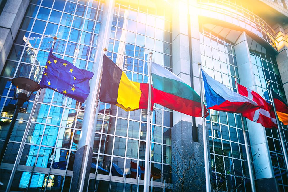 international tax, immigration, and estate planning